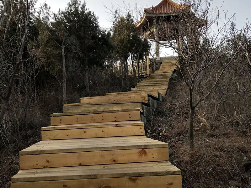 蟒山森林公園木質棧道