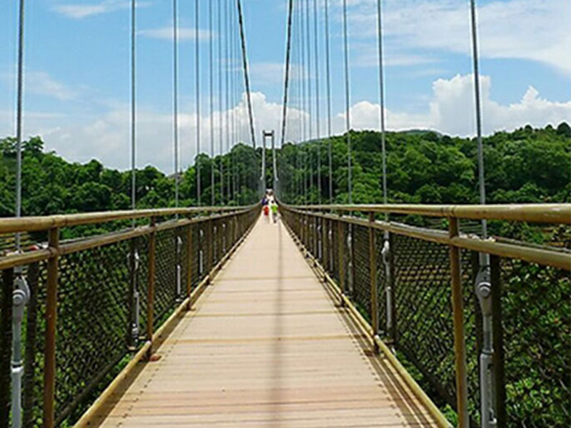 深圳東部華僑城茶溪谷吊橋